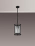 Mano Pendant / Semi Ceiling Convertible 1 Light